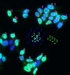 20100217165100-cell-counter-.jpg